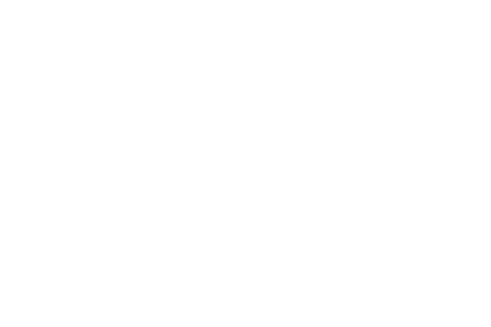 Rapita Systems